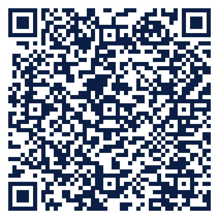 Donation QR